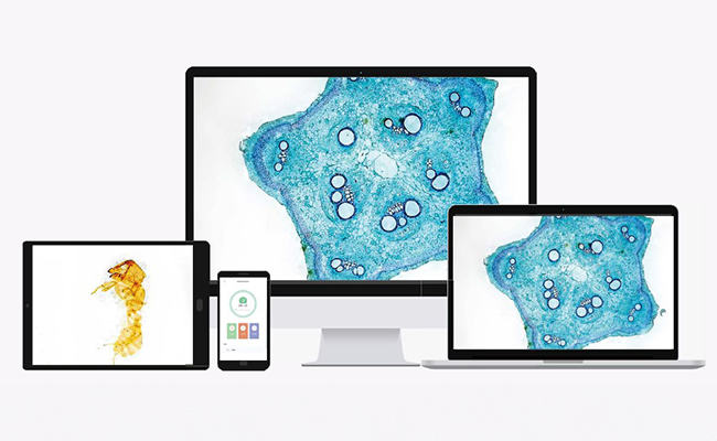 Matalab Studio foto